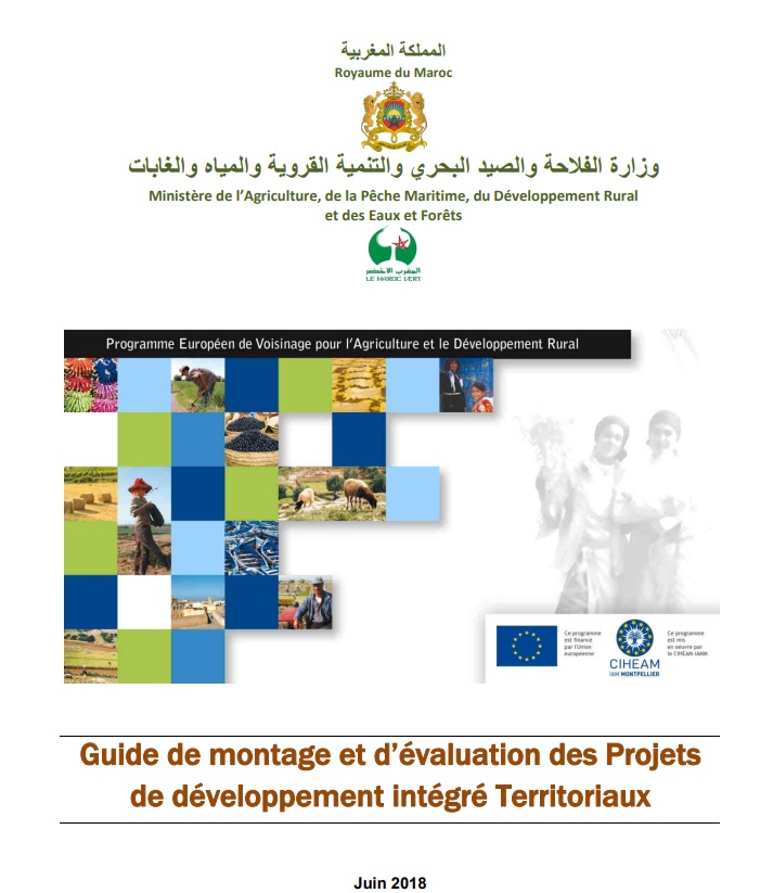 Guide De Montage Et D Valuation Des Projets De D Veloppement Int Gr